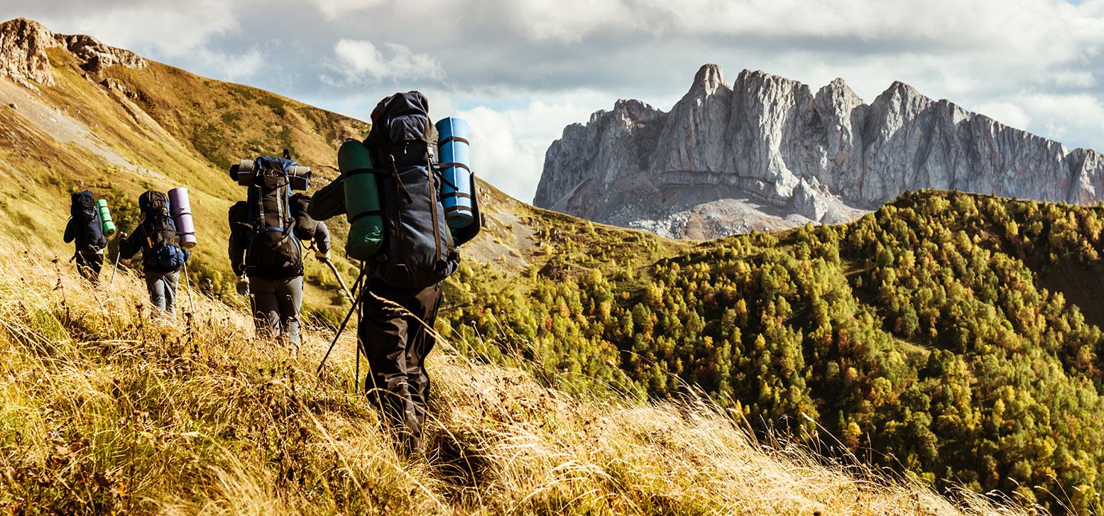 Ett nätverk av konsulter med hög kompetens
